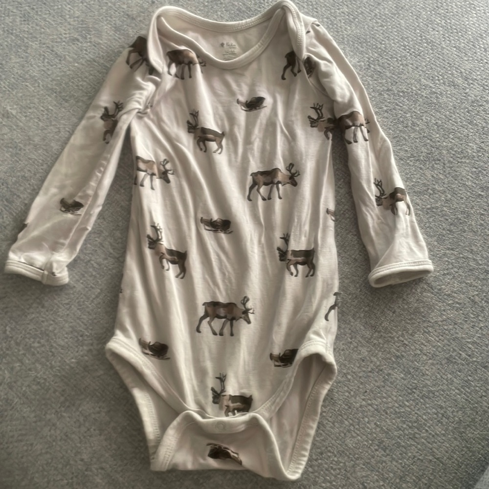 EUC Reindeer print